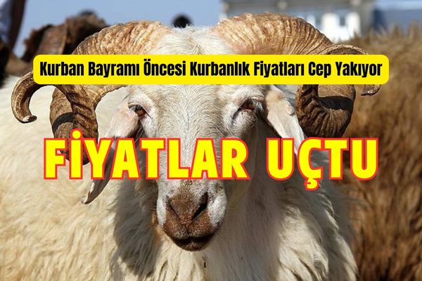 Kurban Bayramı’nda Kurbanlık Fiyatlarındaki Artış Endişe Veriyor