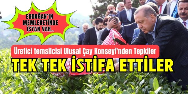 Çay Üreticilerinden Tepki: Ulusal Çay Konseyi’nden İstifa