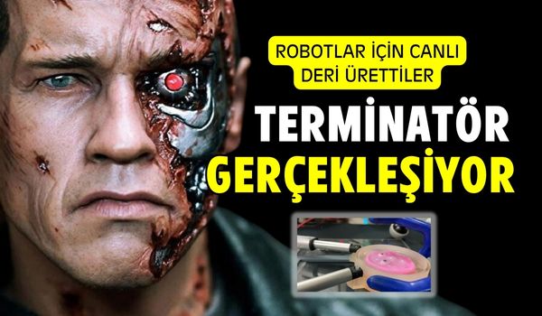 Robotlar İçin Kendini Yenileyen Canlı Deri Ürettiler