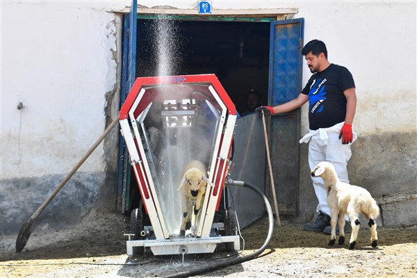 ABB’den hayvan üreticilerine “küçükbaş hayvan yıkama makinesi” desteği