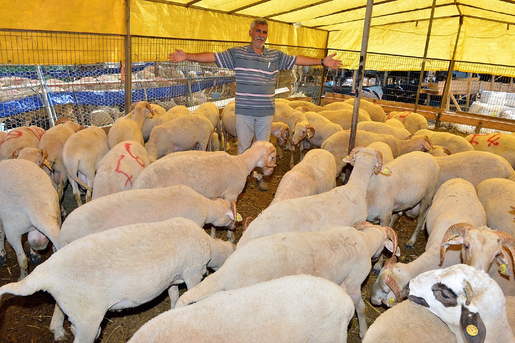 Kavurmalar ihtiyaç sahiplerinin sofrasına ulaştırılacak