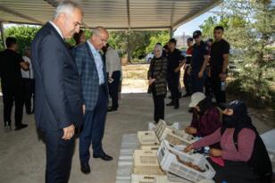 Malatya’da kayısı festivalinin tarihi belli oldu