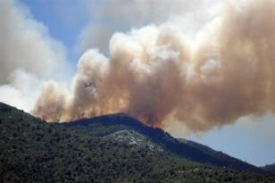 Muğla’daki orman yangını kontrol altına alındı