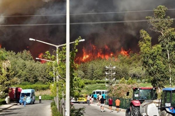 İzmir’in Selçuk ilçesindeki yangın sürüyor