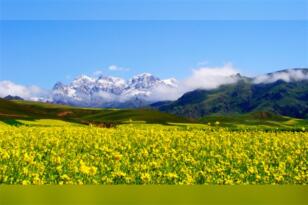 Xi Jinping: Qinghai eyaleti, Çin tarzı modernleşmede yeni sayfa açmalı