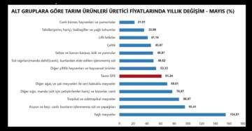 TÜİK-Tarım ürünleri üretici fiyatları Mayıs’ta yıllık yüzde 61,24 yükseldi