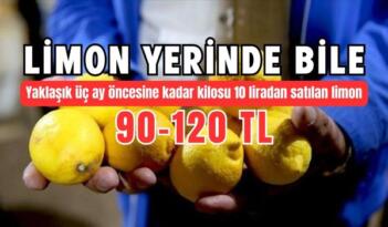 Korkuteli’nde Limon Fiyatlarında Rekor Artış
