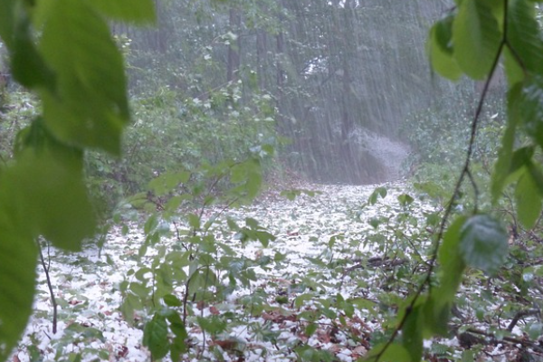 Meteoroloji’den şiddetli yağış uyarısı