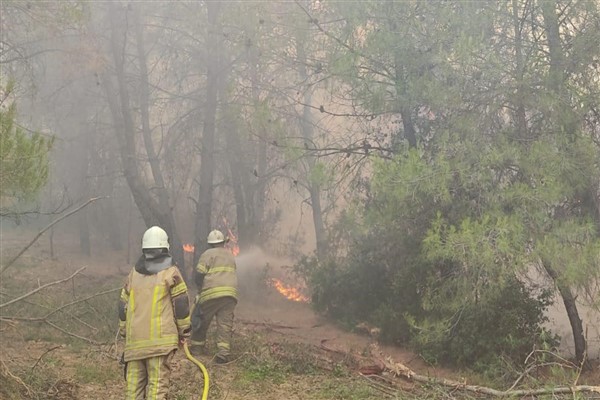 İzmir’de 4 ilçede yangın devam ediyor