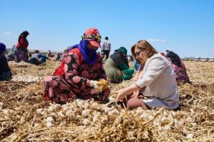 Gaziantep’te 34 bin 884 çiftçiye fide, mazot ve ilaç desteği verildi