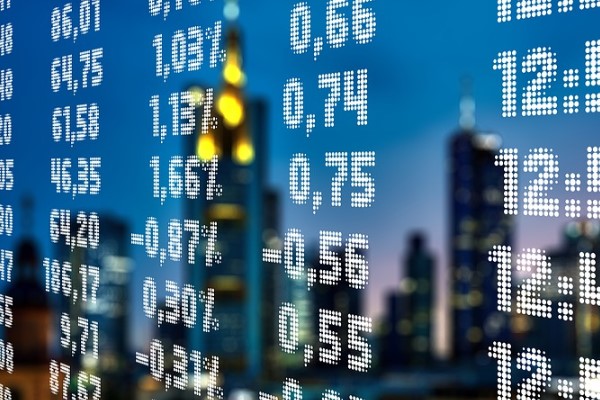 BİST şirketleri veri bankası 16.07.2024