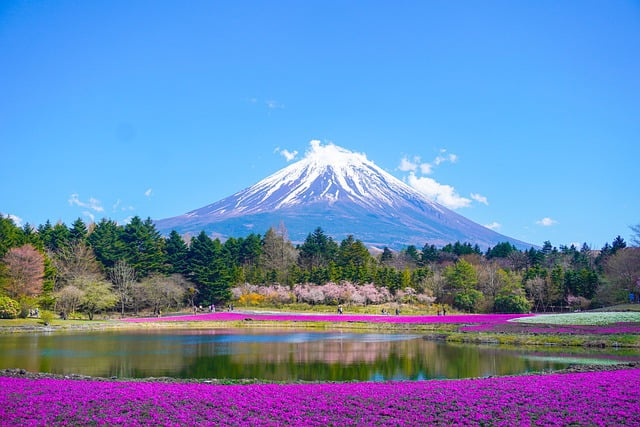 Japonya’daki işletmeler, turistlerden daha fazla ücret almayı düşünüyor