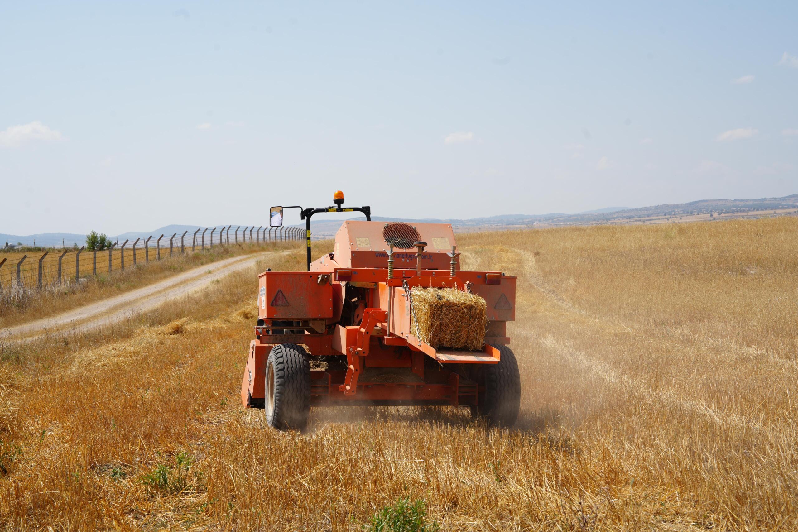 Eskişehir’de yulaf hasadı yapıldı