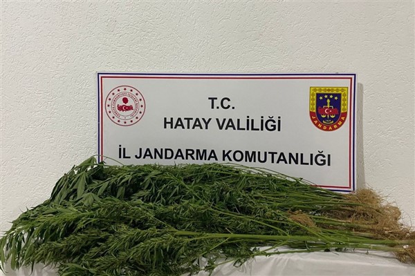 Hatay’da uyuşturucu ve kaçakçılık operasyonu