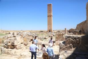 Harran Ulu Camii restorasyonu tamamlandı