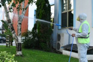 Esenyurt’ta teke böceğiyle mücadele sürüyor