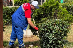 Kağıthane’de peyzaj çalışmaları devam ediyor