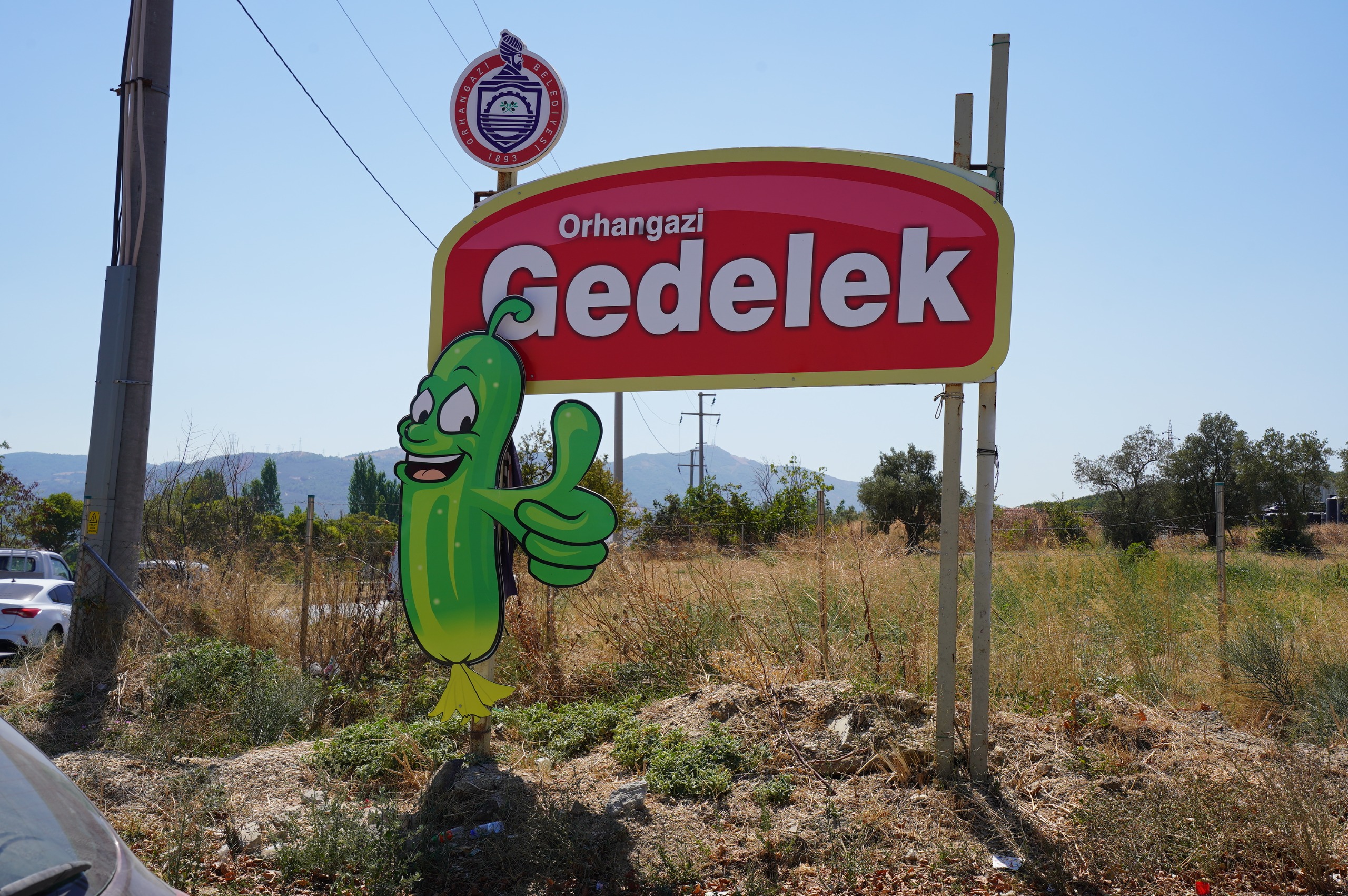 Orhangazi Belediyesi, Gedelek Turşu Festivali için hazırlanıyor